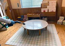 バイオプロテクトCTイメージ