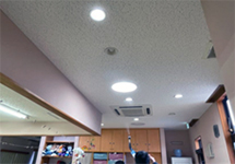 バイオプロテクトCTイメージ