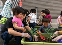 野菜植えイメージ